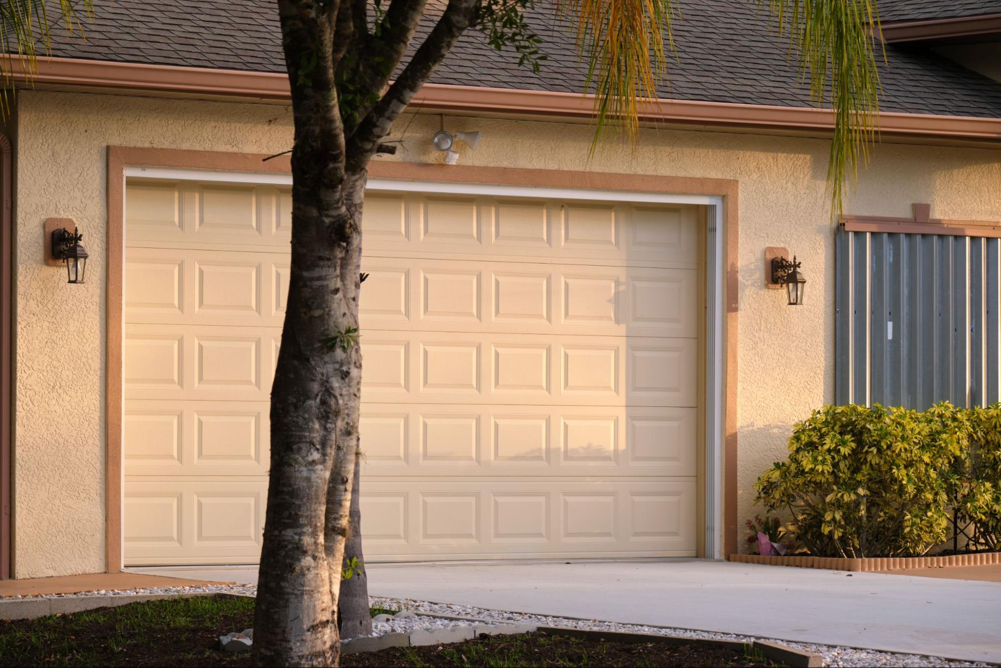 Tree next to a residential garage door.